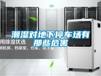 企業新聞潮濕對地下停車場有那些危害