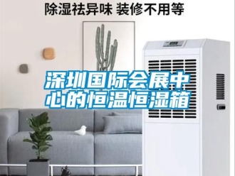 知識(shí)百科深圳國(guó)際會(huì)展中心的恒溫恒濕箱