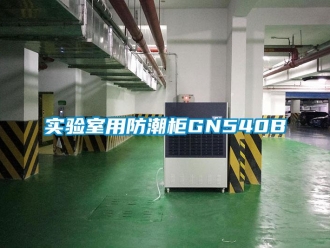 常見問題實驗室用防潮柜GN540B