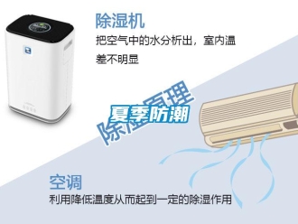 知識百科夏季防潮