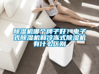 行業新聞除濕機哪個牌子好？電子式除濕機和冷凍式除濕機有什么區別