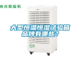 知識百科大型恒溫恒濕試驗箱品牌有哪些？