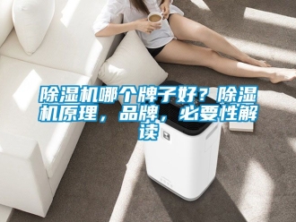企業(yè)新聞除濕機(jī)哪個牌子好？除濕機(jī)原理，品牌，必要性解讀