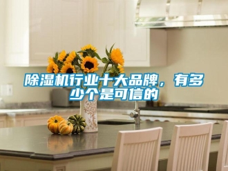 企業新聞除濕機行業十大品牌，有多少個是可信的
