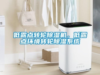 企業新聞低露點轉輪除濕機，低露點環境轉輪除濕系統