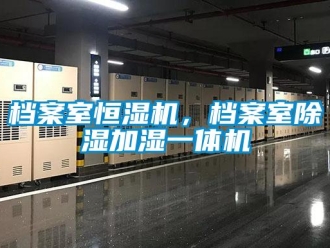 企業新聞檔案室恒濕機，檔案室除濕加濕一體機