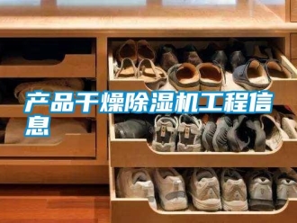 企業(yè)新聞產(chǎn)品干燥除濕機(jī)工程信息
