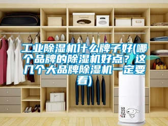 常見問題工業除濕機什么牌子好(哪個品牌的除濕機好點？這幾個大品牌除濕機一定要看)