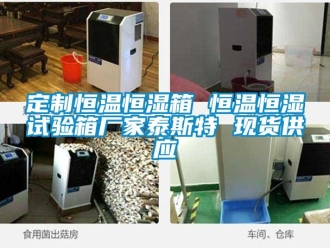 知識百科定制恒溫恒濕箱 恒溫恒濕試驗箱廠家泰斯特 現(xiàn)貨供應(yīng)