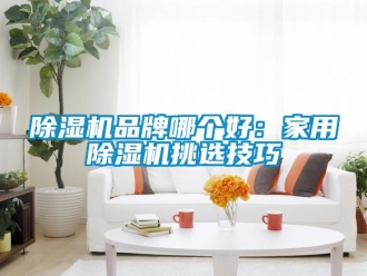 企業新聞除濕機品牌哪個好：家用除濕機挑選技巧