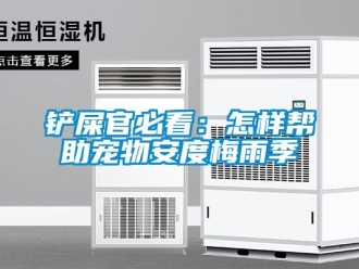 常見問題鏟屎官必看：怎樣幫助寵物安度梅雨季