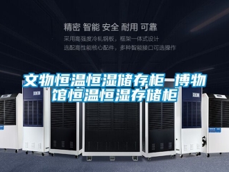 知識百科文物恒溫恒濕儲存柜 博物館恒溫恒濕存儲柜