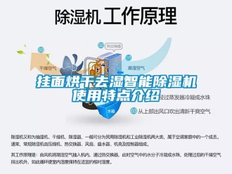 行業(yè)新聞掛面烘干去濕智能除濕機使用特點介紹