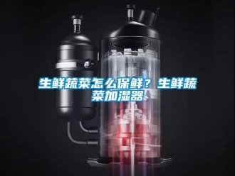 常見問題生鮮蔬菜怎么保鮮？生鮮蔬菜加濕器