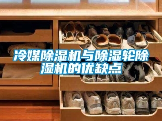 行業(yè)新聞冷媒除濕機(jī)與除濕輪除濕機(jī)的優(yōu)缺點(diǎn)