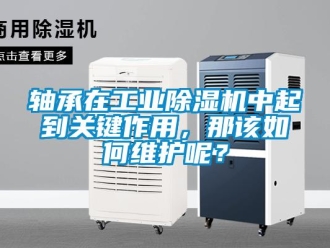 常見問題軸承在工業除濕機中起到關鍵作用，那該如何維護呢？