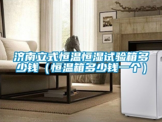知識百科濟南立式恒溫恒濕試驗箱多少錢（恒溫箱多少錢一個）