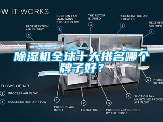 行業新聞除濕機全球十大排名哪個牌子好？