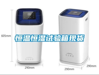 知識百科恒溫恒濕試驗箱現貨