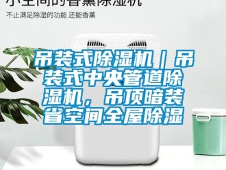 行業新聞吊裝式除濕機｜吊裝式中央管道除濕機，吊頂暗裝省空間全屋除濕