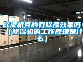 行業(yè)新聞除濕機(jī)真的有除濕效果嗎（除濕機(jī)的工作原理是什么）