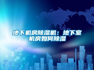 行業(yè)新聞地下機(jī)房除濕機(jī)：地下室機(jī)房如何除濕