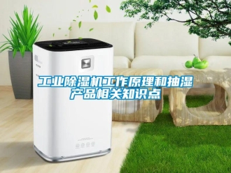 企業新聞工業除濕機工作原理和抽濕產品相關知識點