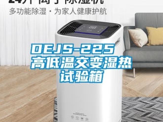 常見問題DEJS-225  高低溫交變濕熱試驗箱