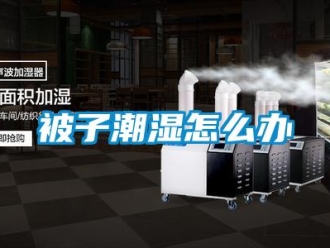常見問題被子潮濕怎么辦