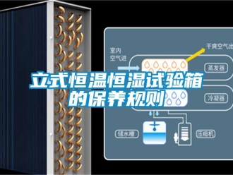 知識(shí)百科立式恒溫恒濕試驗(yàn)箱的保養(yǎng)規(guī)則
