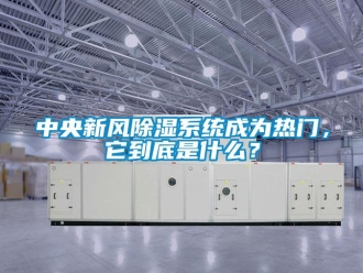 行業新聞中央新風除濕系統成為熱門，它到底是什么？