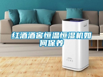常見問題紅酒酒窖恒溫恒濕機如何保養