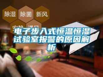 知識(shí)百科電子步入式恒溫恒濕試驗(yàn)室報(bào)警的原因解析