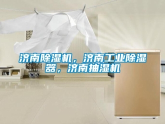 常見問題濟南除濕機，濟南工業除濕器，濟南抽濕機