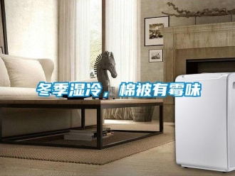企業(yè)新聞冬季濕冷，棉被有霉味