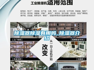 行業新聞除濕器除濕有用嗎_除濕器介紹