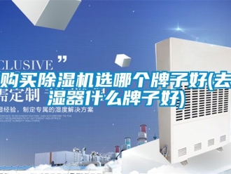 行業新聞購買除濕機選哪個牌子好(去濕器什么牌子好)