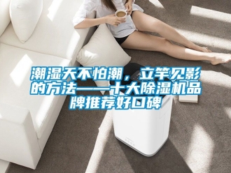 企業新聞潮濕天不怕潮，立竿見影的方法——十大除濕機品牌推薦好口碑