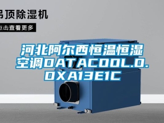 知識(shí)百科河北阿爾西恒溫恒濕空調(diào)DATACOOL.O.DXA13E1C