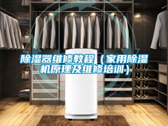 常見問題除濕器維修教程（家用除濕機原理及維修培訓）