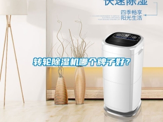 常見問題轉(zhuǎn)輪除濕機(jī)哪個牌子好？
