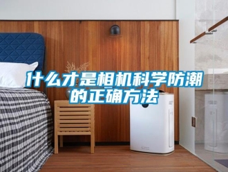 常見問題什么才是相機科學防潮的正確方法
