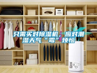 知識百科只需買對除濕機，應對潮濕天氣“霉”煩惱
