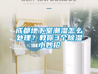 企業新聞成都地下室潮濕怎么處理？教你3個除濕小妙招