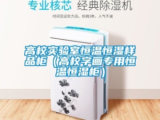 知識百科高校實驗室恒溫恒濕樣品柜（高校字畫專用恒溫恒濕柜）