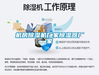企業新聞機房除濕機廠家除濕器廠家