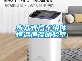 知識百科步入式汽車組件恒溫恒濕試驗室