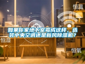 行業(yè)新聞如果你家地下室霉成這樣，選裝中央空調(diào)還是新風(fēng)除濕機(jī)？