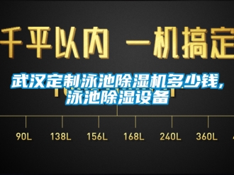 行業(yè)新聞武漢定制泳池除濕機(jī)多少錢,泳池除濕設(shè)備