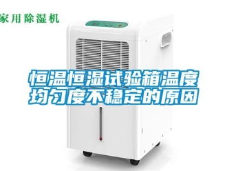 知識百科恒溫恒濕試驗箱溫度均勻度不穩(wěn)定的原因